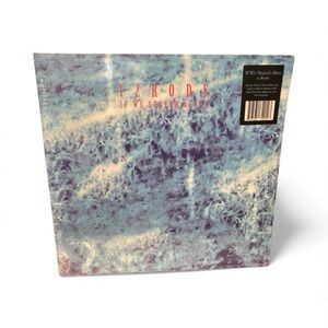 Indie Music 12 Rods If We Stayed Alive Vinyl Album 🎼🎹